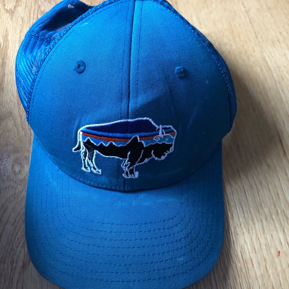 Patagonia Trucker Hat